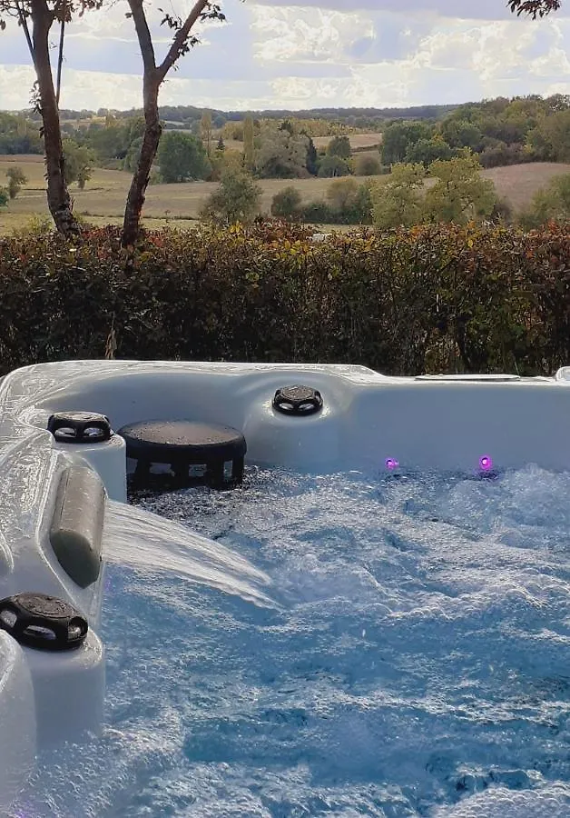 Holiday home Les Chalets De Barruerot - Spa Peyrusse-Grande